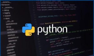 Python for Beginners